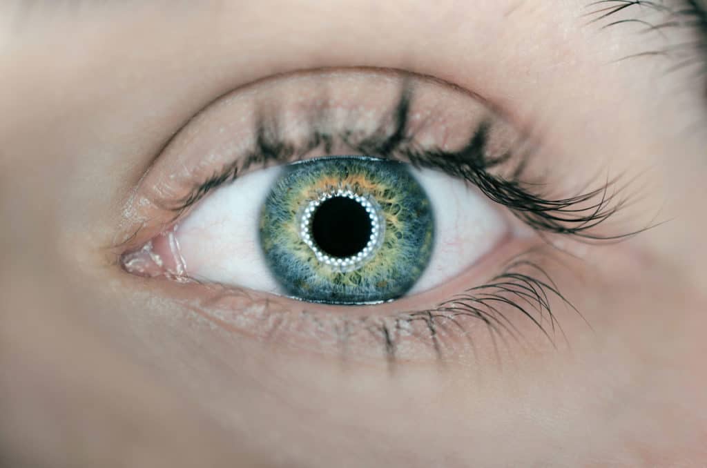 Contact Lenses Eye